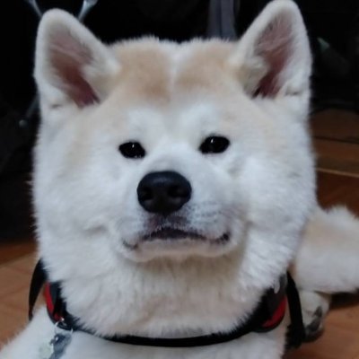 楽天ROOM https://t.co/J38hXbSPQA
始めました。Xも始めたばかり まだ初心者で 何したらいいのか・・・ よろしくお願いします。(*- -)(*_ _)ペコリ
#楽天room #PR