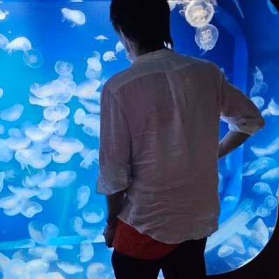 りゅーやさんのプロフィール画像
