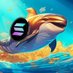 SOL__WHALE (@thomas_kargl) Twitter profile photo SOL__WHALE (@thomas_kargl) Twitter profile photo