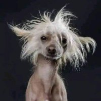 Shantell (@ceenorepeace) 's Twitter Profile Photo Shantell (@ceenorepeace) 's Twitter Profile Photo