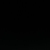 とんこつらーメン (@pvewmbodhliicpy) 's Twitter Profile