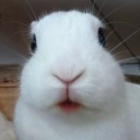 clara ❀ (@claaarclara) 's Twitter Profile