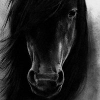 Stallion (@stallionffxiv) 's Twitter Profile
