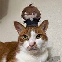 145（ひよこ） (@145hiyoco) 's Twitter Profile Photo