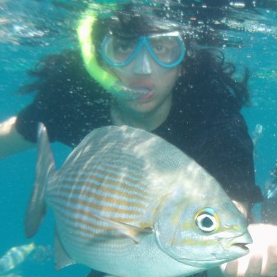 jimiroklet's profile picture. canilla libre de ragebait