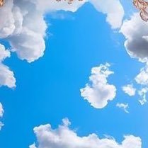 fighterxo1's profile picture. ethical product innovations