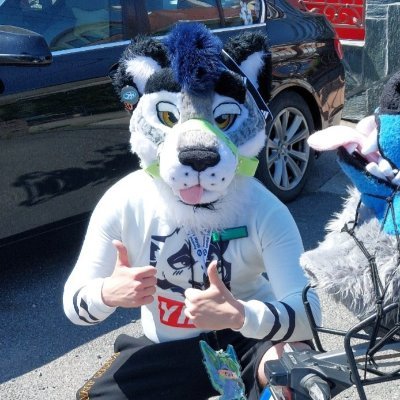 HUN / Fursuit maker / Artist / LVL 21 / University student