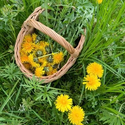 DTerki_terk's profile picture. 