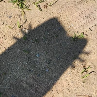 szkl671's profile picture. 台湾人🇹🇼 ∣ たていしとしき ∣ くにしまなおき ∣n.SSign🦄 ∣ さにわ ∣ めいたんていこなん ∣ KPOP初心者 ∣ 無言フォロー失礼します ∣ 観劇予定：愛の不時着、デスミュ、忠臣蔵