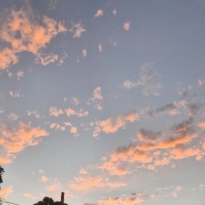 THZZINX90's profile picture. 