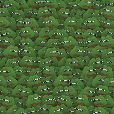 abc8c9z's profile picture.