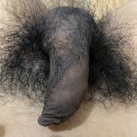 . (@uncuttnihh) 's Twitter Profile