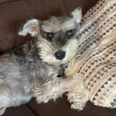 るいすさんのプロフィール画像