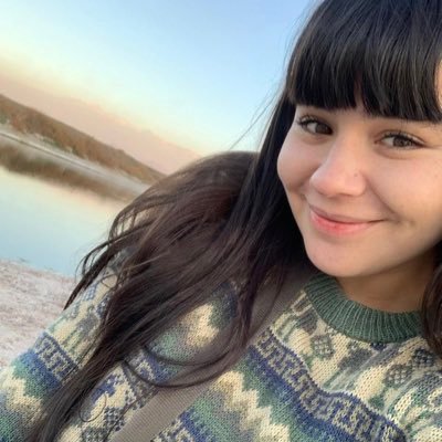 Tonta como una piedra y fea como una blasfemia. Si un extraño ofrece llevarme, ME SUBO!
