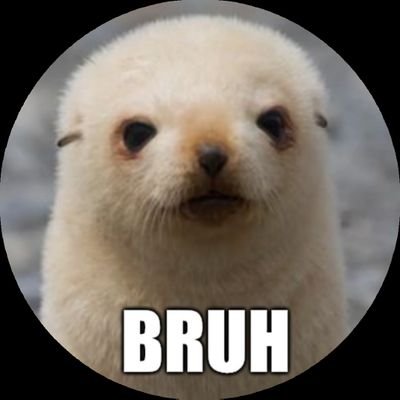 awesomedudeXO's profile picture. Hi. I'm a Seal. I fucking hate everyone equally. Except moths and snails. And most other seals. and ferrets. and otters. and cervidae.