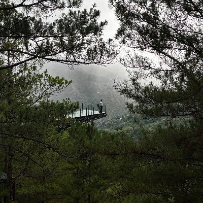 romajoycereyes's profile picture. ※Ad Maiora※