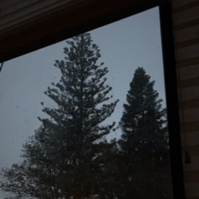 qSamNi's profile picture. Μatemático, casi