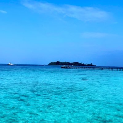 Rei22lrl's profile picture. 好き：ペプシゼロ/セブンイレブン/幾原邦彦作品/綺麗な海/ポケモンスリープ/犬王/いつか執事の館に帰宅したい/ITパスポート勉強中←new!