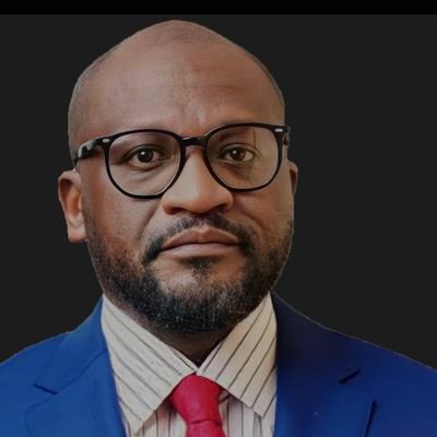 Directeur, VP opérations de la Société GLNAD LLC
Directeur Général de la société ELABIF sarl
SPN en charge des Mines au sein de l’UNC .