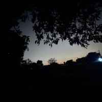 Mannehe (@mannehe37163) 's Twitter Profile