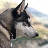 SoN_EeA 06 (@soniakiramat) 's Twitter Profile