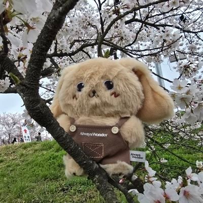 fan account #SupportLingLingKwong #Team00K #00K4EVER #LingLingKwong