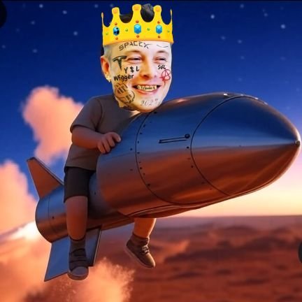 WeemanMusk's profile picture. Timeline Disturbance