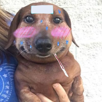 omom_jumbo's profile picture. Iboinu core