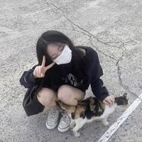 ナナྀ (@tryouneko89718) 's Twitter Profile
