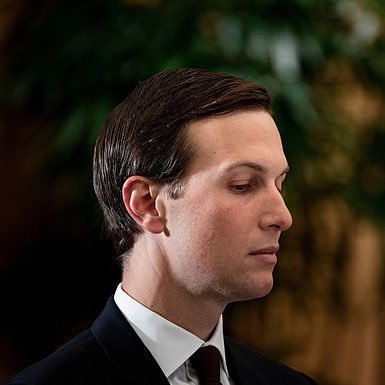 nipotedotsol's profile picture. 