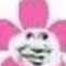 scallywag (@sockdotclip) 's Twitter Profile Photo scallywag (@sockdotclip) 's Twitter Profile Photo