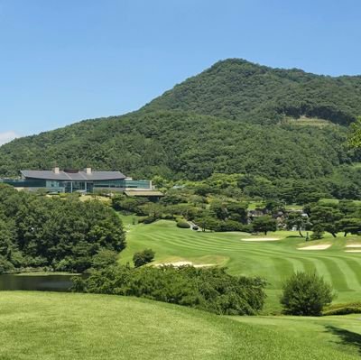 fieldgenius3278's profile picture. 미국주식으로 FIRE하기