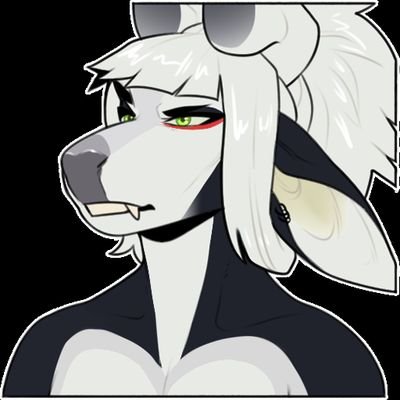 Nat ➡️🛏️さんのプロフィール画像