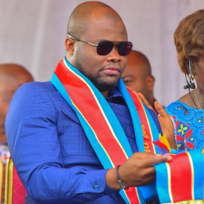 Avocat au Barreau de Kinshasa/Matete, Député provincial de la ville de Kinshasa, Président de l’ASM et cadre de l’UDPS/TSHISEKEDI