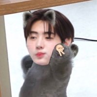 sungya (@sungya_h) 's Twitter Profile