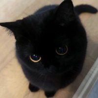 K💍 (@kineeks12) 's Twitter Profile