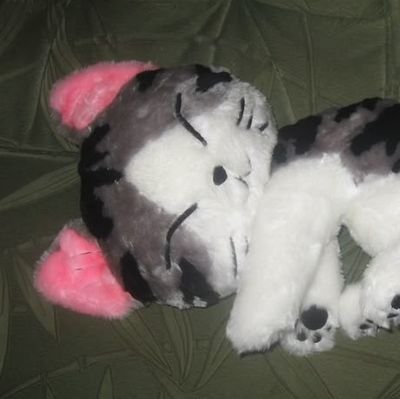 ebolazone's profile picture. 