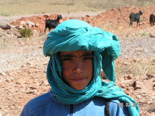 dan_gokey's profile picture. 