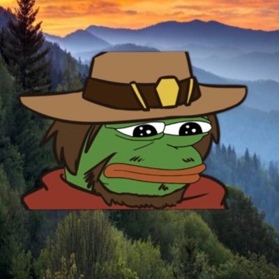 appalachianfren's profile picture. Scotch-Germanic•Appalachia Dixie Division🍂•Zoomer•🇻🇦•AF•Groyper since AFPAC IV•
