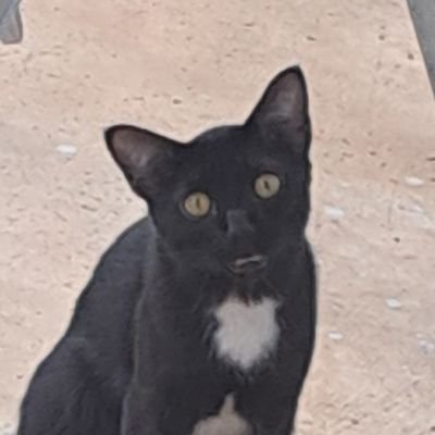 mhpalmy's profile picture. 