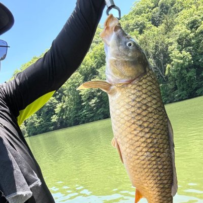 🎣 Fishing newbie | Sharing fishing moments and catches🌿 Rod in hand, heart toward the lake
#Fishing #Outdoors