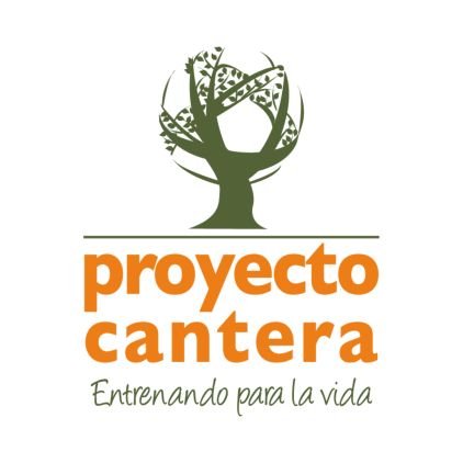 Potenciamos la empatía, la resiliencia y las habilidades de resolución pacífica de conflictos. impulsando una cultura de paz.