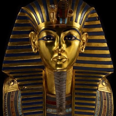 C250Buddy's profile picture. the best trades are the ones you don't take