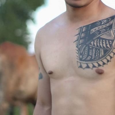 turkshlxll's profile picture. ...