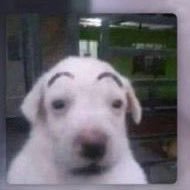 차반さんのプロフィール画像