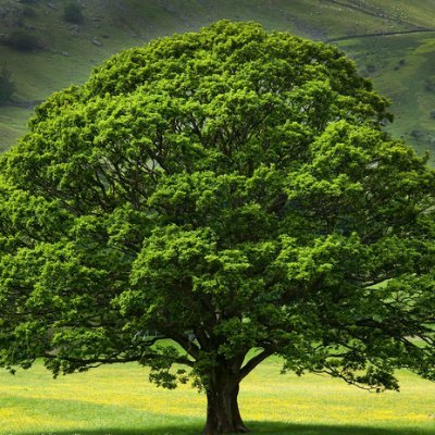 DPrakash24064's profile picture. 