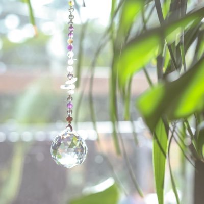 kialice817's profile picture. 