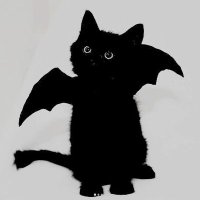 :*🪦🎧b6tz_gor3🕸🦴* (@lun96452) 's Twitter Profile