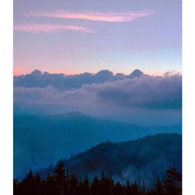 NarsaleVandana's profile picture. 