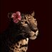 جُو (@8jlllr) Twitter profile photo جُو (@8jlllr) Twitter profile photo